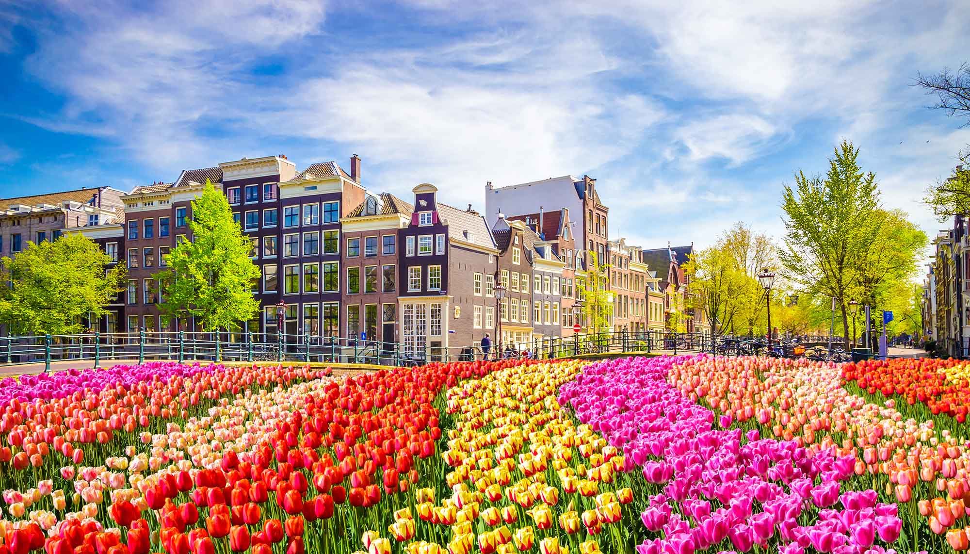 Amsterdam - Discover Dam Square##Discover Rijksmuseum##Discover Red Light District