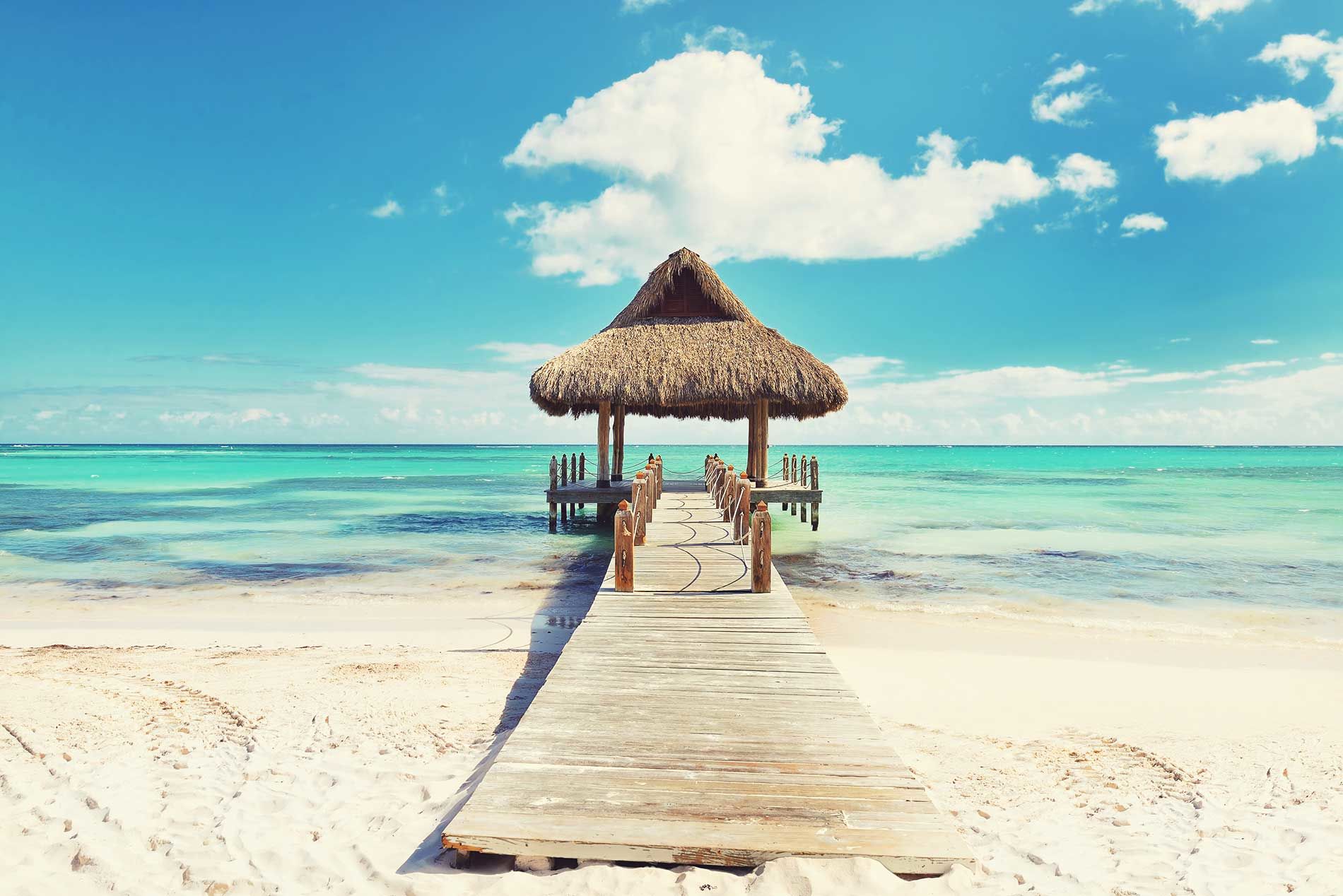 CARIBE TODO INCLUIDO - DESCUBRE CARIBE##DESCUBRE AGUAS CRISTALINAS##DESCUBRE LA FAUNA MARINA##DESCUBRE EL RELAX
