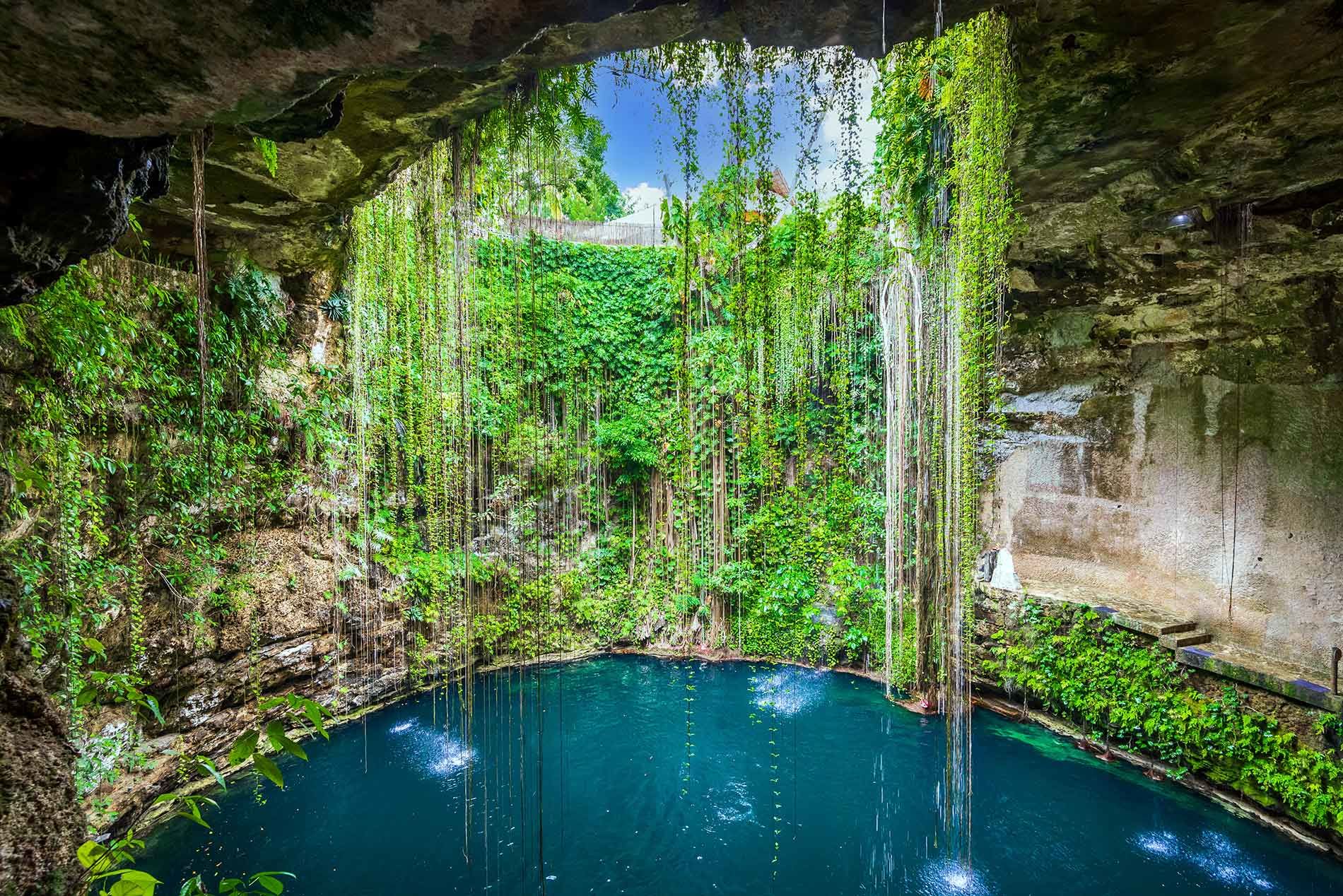 CARIBE TODO INCLUIDO - DESCUBRE CARIBE##DESCUBRE AGUAS CRISTALINAS##DESCUBRE LA FAUNA MARINA##DESCUBRE EL RELAX